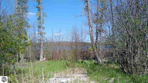 10020 Harmony Dr, Interlochen, MI 49643 photo 9