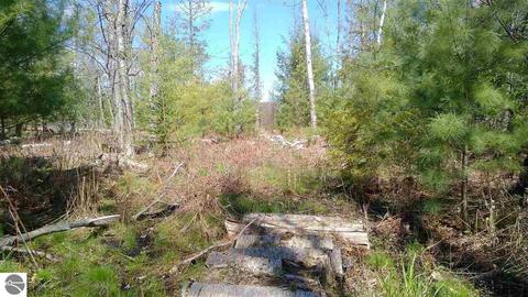 10020 Harmony Dr, Interlochen, MI 49643 photo 7