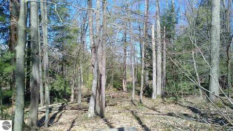 10020 Harmony Dr, Interlochen, MI 49643 photo 6