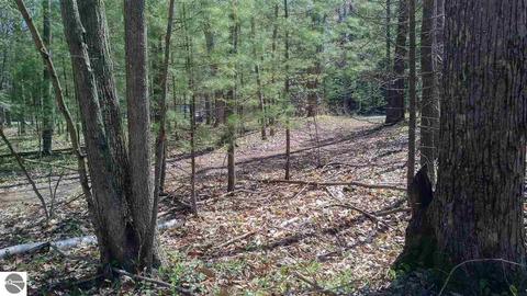 10020 Harmony Dr, Interlochen, MI 49643 photo 5