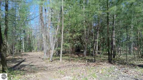 10020 Harmony Dr, Interlochen, MI 49643 photo 3
