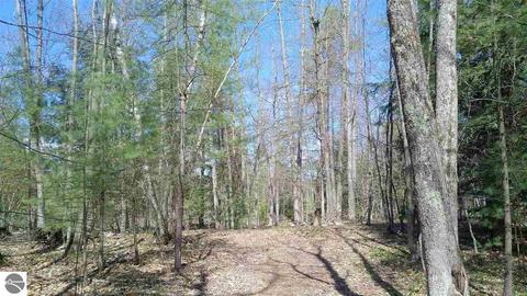 10020 Harmony Dr, Interlochen, MI 49643 photo 4
