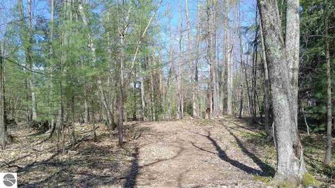 10020 Harmony Dr, Interlochen, MI 49643 photo 2