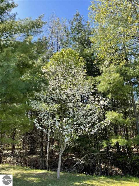 900 N Black, Twining, MI 48766 photo 51