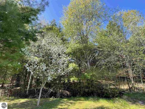 900 N Black, Twining, MI 48766 photo 5