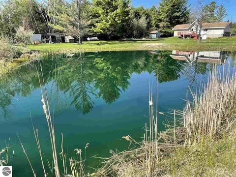 900 N Black, Twining, MI 48766 photo 45