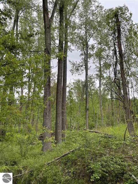 900 N Black, Twining, MI 48766 photo 36