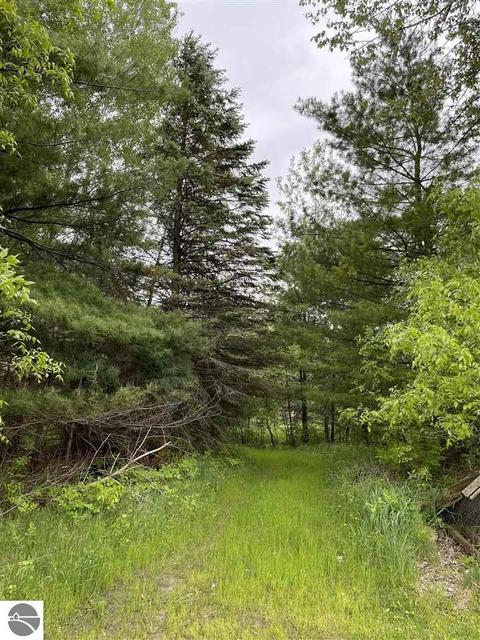 900 N Black, Twining, MI 48766 photo 43