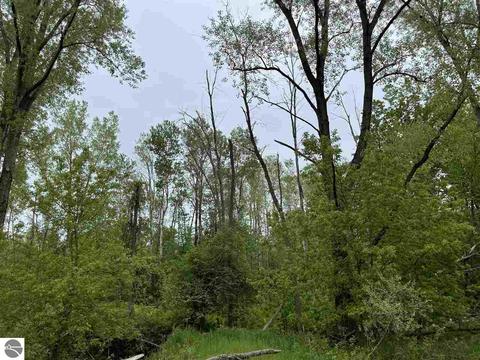 900 N Black, Twining, MI 48766 photo 35