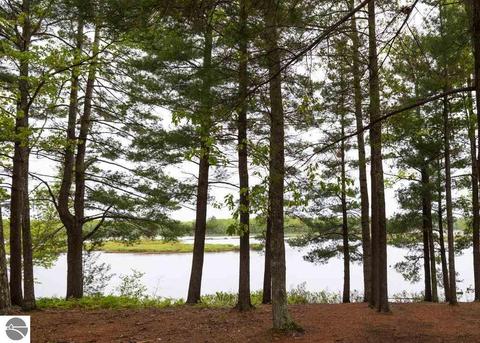 240 Dubonnet Trl, Interlochen, MI 49643 photo 7