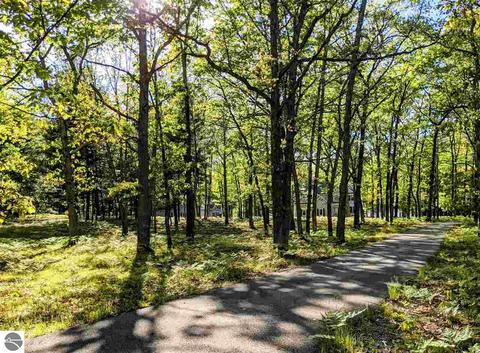 240 Dubonnet Trl, Interlochen, MI 49643 photo 4