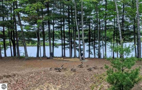 240 Dubonnet Trl, Interlochen, MI 49643 photo 40