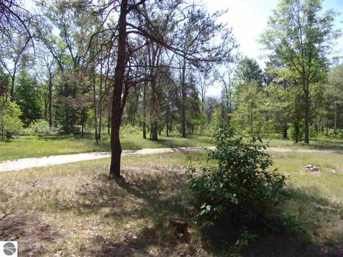 0 Beaver Lake Trl, West Branch, MI 48661