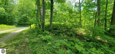 7270 Shellenbarger Rd, Hale, MI 48739 photo 46