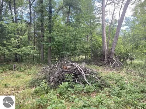 0 Whitetail Dr #LOT 115 WHITETAIL DRIVE, Alger, MI 48610