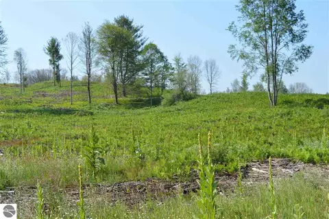 D E 16 Mile Road, Reed City, MI 49677