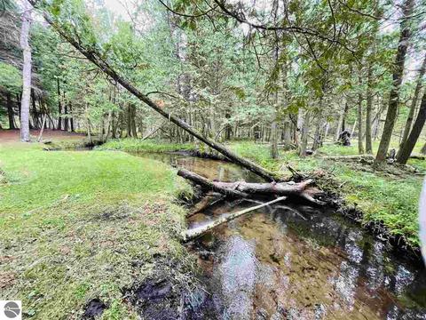 2137 E 12 Rd, Manton, MI 49663 photo 15