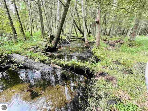 2137 E 12 Rd, Manton, MI 49663 photo 9