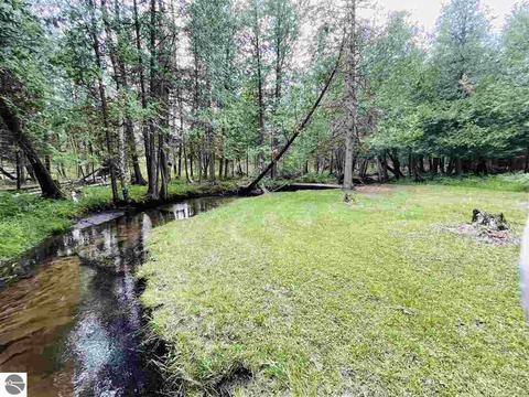 2137 E 12 Rd, Manton, MI 49663 photo 19