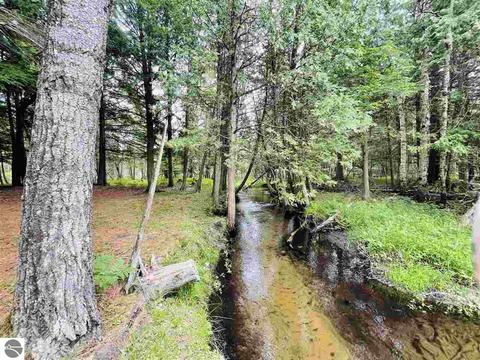 2137 E 12 Rd, Manton, MI 49663 photo 14