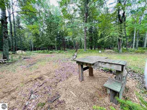 2137 E 12 Rd, Manton, MI 49663 photo 24