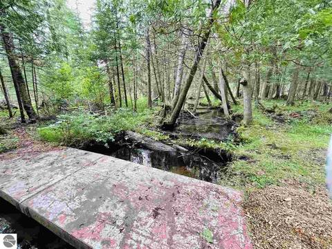 2137 E 12 Rd, Manton, MI 49663 photo 13