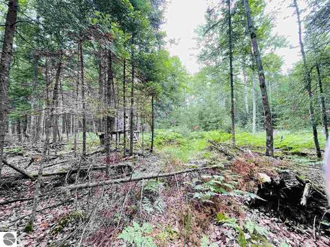 2137 E 12 Rd, Manton, MI 49663 photo 43