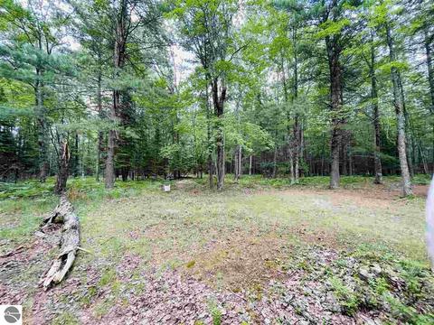 2137 E 12 Rd, Manton, MI 49663 photo 26