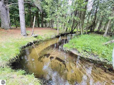2137 E 12 Rd, Manton, MI 49663 photo 17