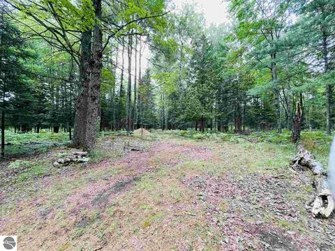 2137 E 12 Rd, Manton, MI 49663 photo 25