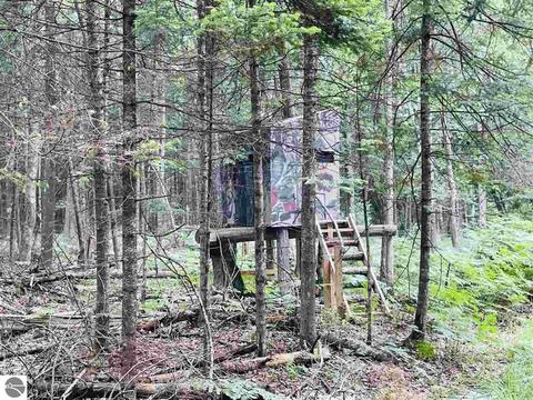 2137 E 12 Rd, Manton, MI 49663 photo 41