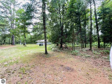 2137 E 12 Rd, Manton, MI 49663 photo 28