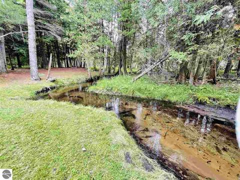 2137 E 12 Rd, Manton, MI 49663 photo 10