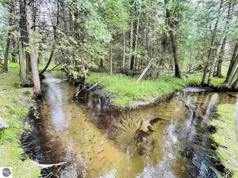 2137 E 12 Rd, Manton, MI 49663 photo 18