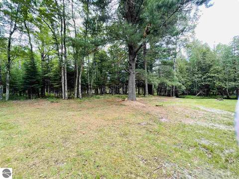 2137 E 12 Rd, Manton, MI 49663 photo 7