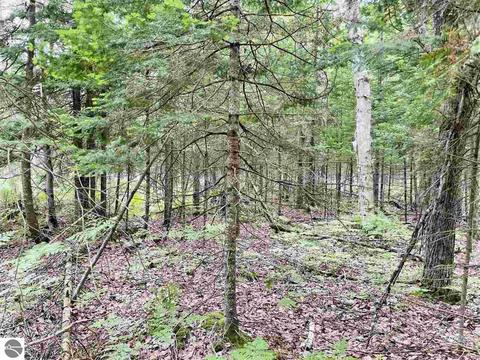 2137 E 12 Rd, Manton, MI 49663 photo 40