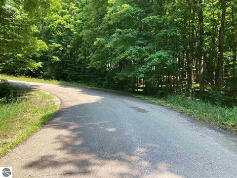 Staceywood Circle, Bellaire, MI 49615