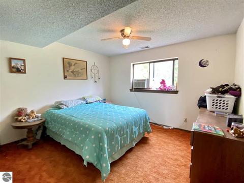 1627 Pine Tree Rd, Grawn, MI 49637 photo 29