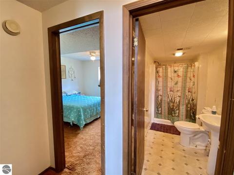 1627 Pine Tree Rd, Grawn, MI 49637 photo 26