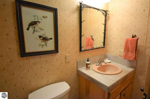 3161 Shooks Rd, Wolverine, MI 49799 photo 50