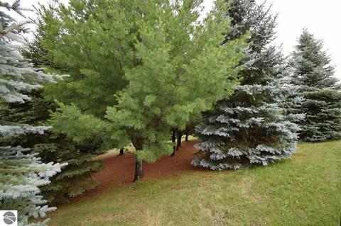 3161 Shooks Rd, Wolverine, MI 49799 photo 59