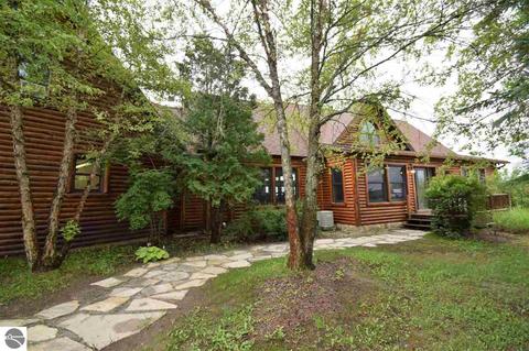 3161 Shooks Rd, Wolverine, MI 49799 photo 4