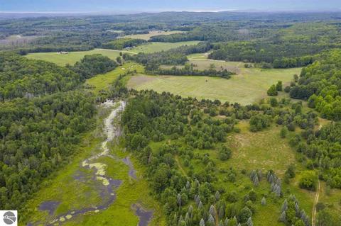 3161 Shooks Rd, Wolverine, MI 49799 photo 55