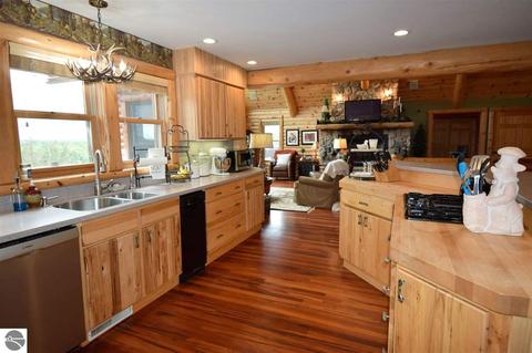 3161 Shooks Rd, Wolverine, MI 49799 photo 18