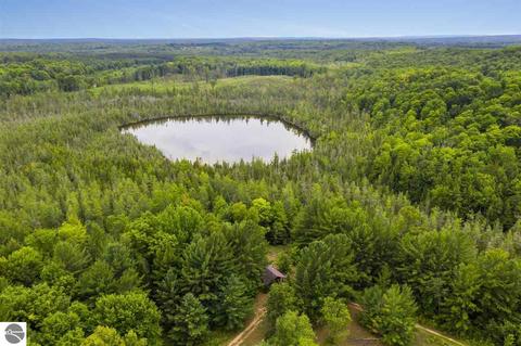 3161 Shooks Rd, Wolverine, MI 49799 photo 53