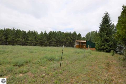 3161 Shooks Rd, Wolverine, MI 49799 photo 64