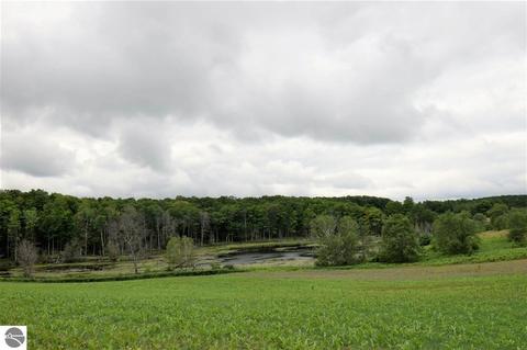 3161 Shooks Rd, Wolverine, MI 49799 photo 62