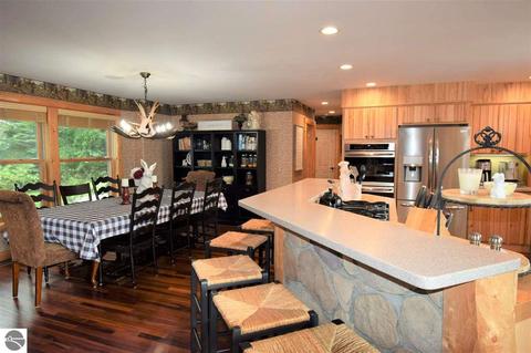 3161 Shooks Rd, Wolverine, MI 49799 photo 19