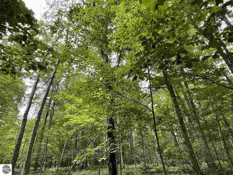 1198 E Pointe Dr, Beaverton, MI 48612 photo 7
