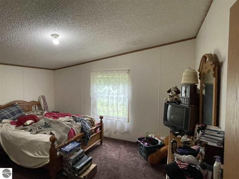 1198 E Pointe Dr, Beaverton, MI 48612 photo 20